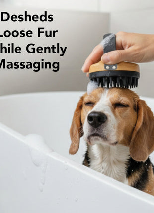 THE BATH BRUSH