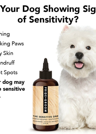 THE SENSITIVE ONE