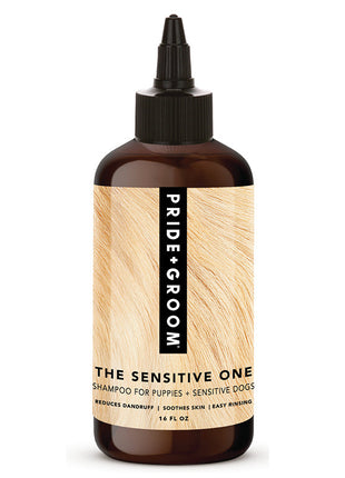 THE SENSITIVE ONE