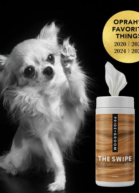 The Swipe