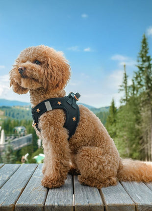SoHo Dog Harness - Rockstar