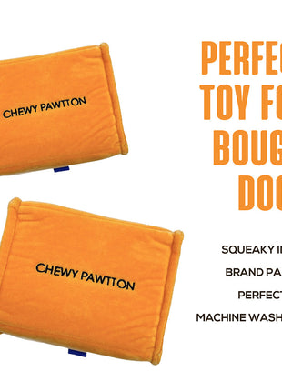 CHEWY PAWTTON PLUSH DOG TOY