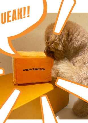 CHEWY PAWTTON PLUSH DOG TOY