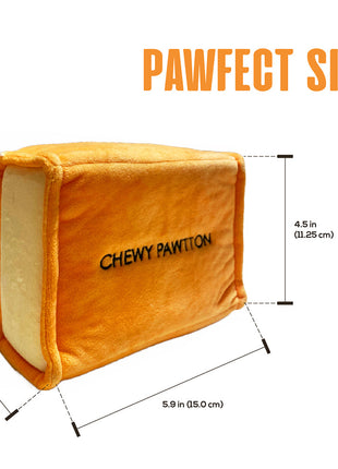 CHEWY PAWTTON PLUSH DOG TOY