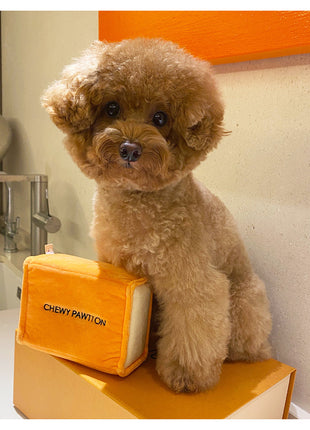 CHEWY PAWTTON PLUSH DOG TOY