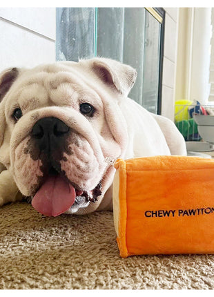 CHEWY PAWTTON PLUSH DOG TOY