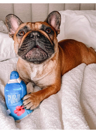 FURJI WATER PLUSH DOG TOY