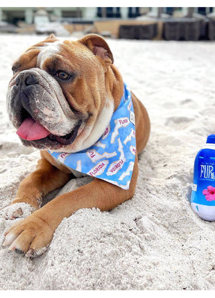 FURJI WATER PLUSH DOG TOY