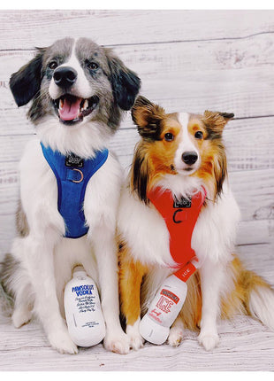 PAWSOLUT VODKA PLUSH DOG TOY