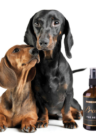 PROUD Dog & Cat Perfume Spray — Natural Deodorizing Pet Cologne with Bergamot & Citrus