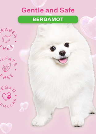 Dog & Pup Shampoo Bergamot 480ml