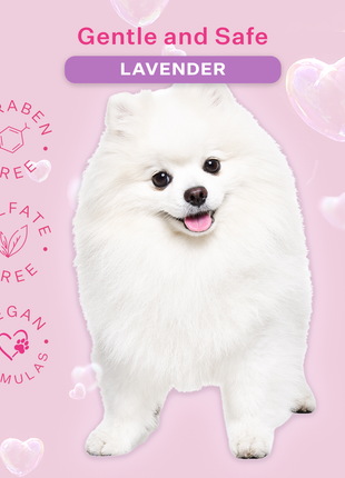 Dog & Pup Shampoo Lavender 480ml