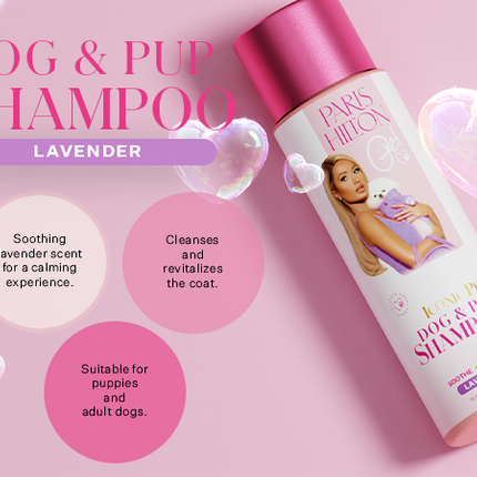 Dog & Pup Shampoo Lavender 480ml
