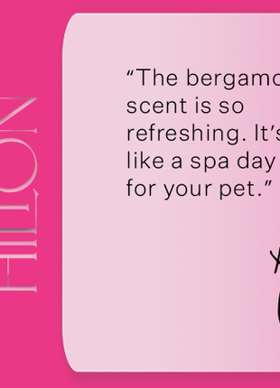 Dog & Pup Shampoo Bergamot 480ml