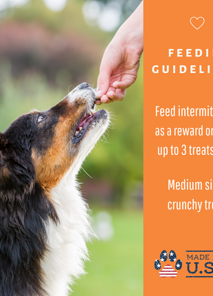 Dog Mamma's Organic Pumpkin Snaps Recipe- USDA Organic Certified Dog Treats