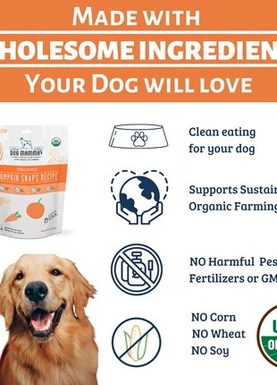Dog Mamma's Organic Pumpkin Snaps Recipe- USDA Organic Certified Dog Treats