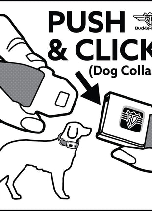 PEANUTS Title Logo Full Color Yellow/White Seatbelt Buckle Collar - Peanuts Woodstock Shades Pose Blocks Blue/Yellow/Black