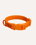 Tilley + Me PVC Dog Collar - All Weather Waterproof Durable & Odor-Resistant - Pup List