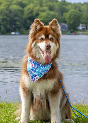 Painted Peaks Dog Bandana