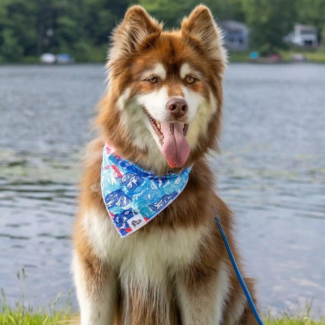 Painted Peaks Dog Bandana