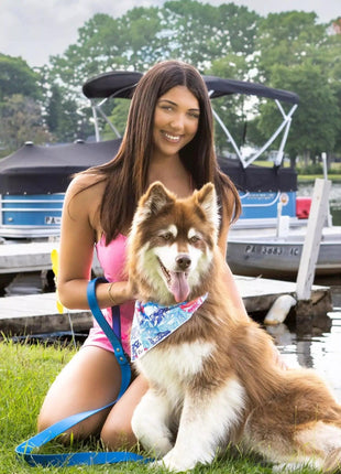 Painted Peaks Dog Bandana