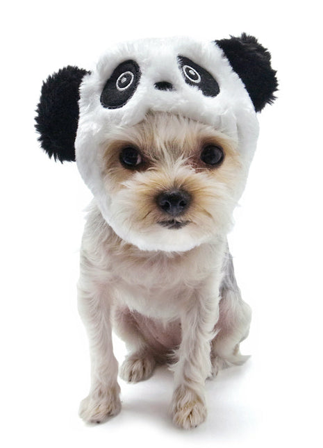 Panda Hat
