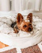 PupPouf™ Faux Fur Donut Dog Bed - White with Brown Accents