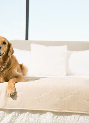 PupChill™ Cooling Waterproof Runner Blanket - Arctic Sand