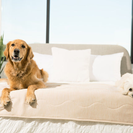 PupChill™ Cooling Waterproof Runner Blanket - Arctic Sand