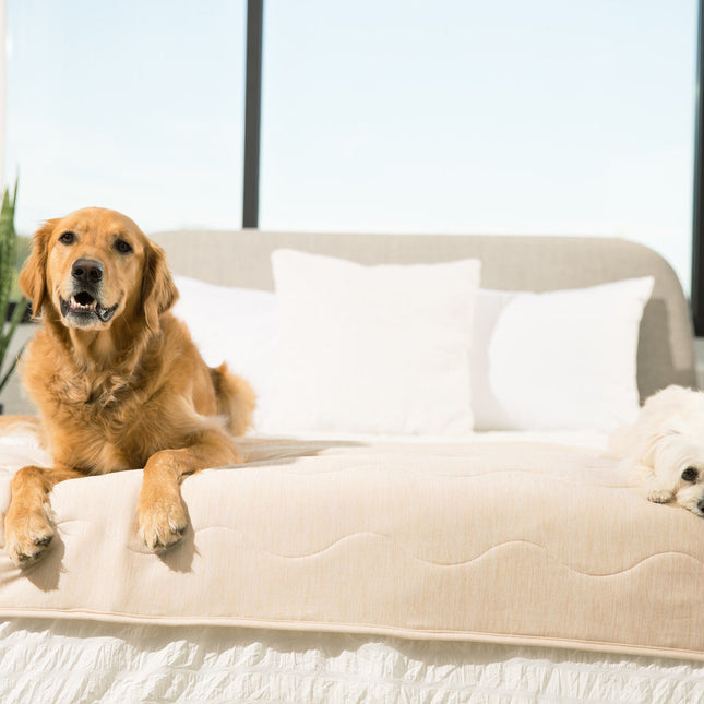 PupChill™ Cooling Waterproof Runner Blanket - Arctic Sand