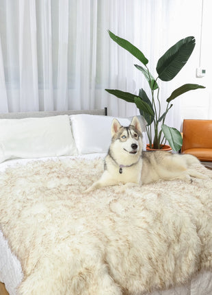 PupProtector™ Waterproof Throw Blanket - White with Brown Accents
