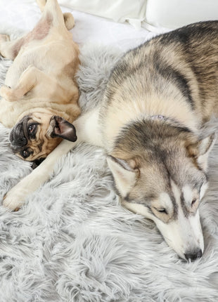 PupProtector™ Waterproof Throw Blanket - Grey