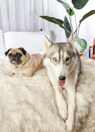 PupProtector™ Waterproof Throw Blanket - White with Brown Accents