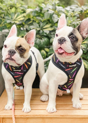 Teacher's Pet Reversible Harness - Pup List