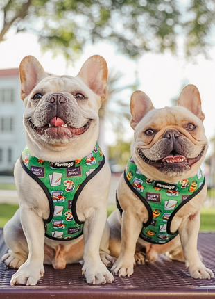 Teacher's Pet Reversible Harness - Pup List