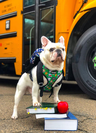 Teacher's Pet Reversible Harness - Pup List