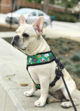 Teacher's Pet Reversible Harness - Pup List