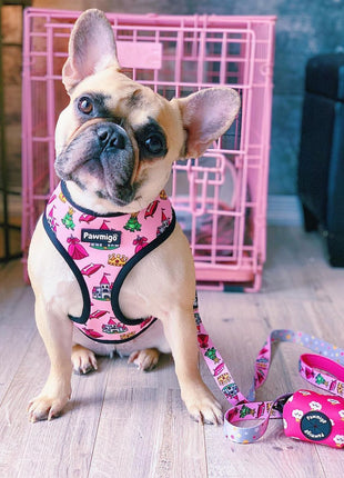 Fairytail Leash Kit - Pup List