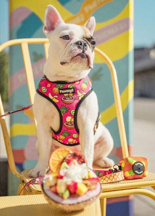 Snack Shack Leash Kit - Pup List