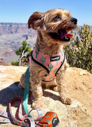 Succa For You Reversible Harness - Pup List