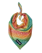 Chasing Rainbows Cooling Bandana