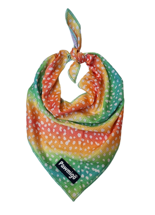 Chasing Rainbows Cooling Bandana