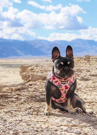 Fairytail Reversible Harness - Pup List