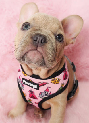 Fairytail Reversible Harness - Pup List