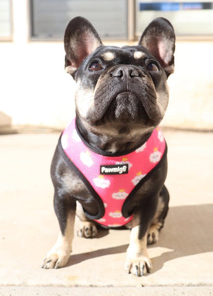 Fairytail Reversible Harness - Pup List