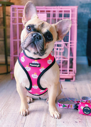 Fairytail Reversible Harness - Pup List