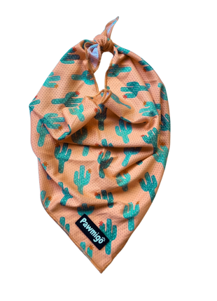 Succa For You Cooling Bandana