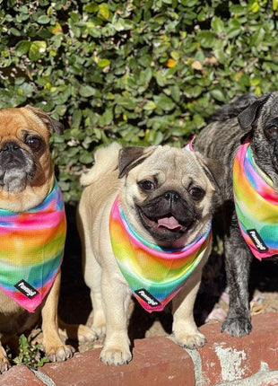 Tie-Dye For Cooling Bandana