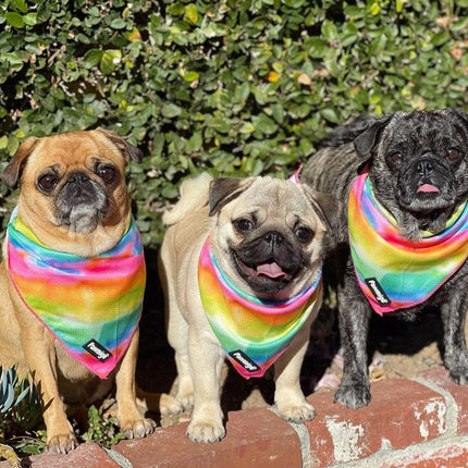 Tie-Dye For Cooling Bandana