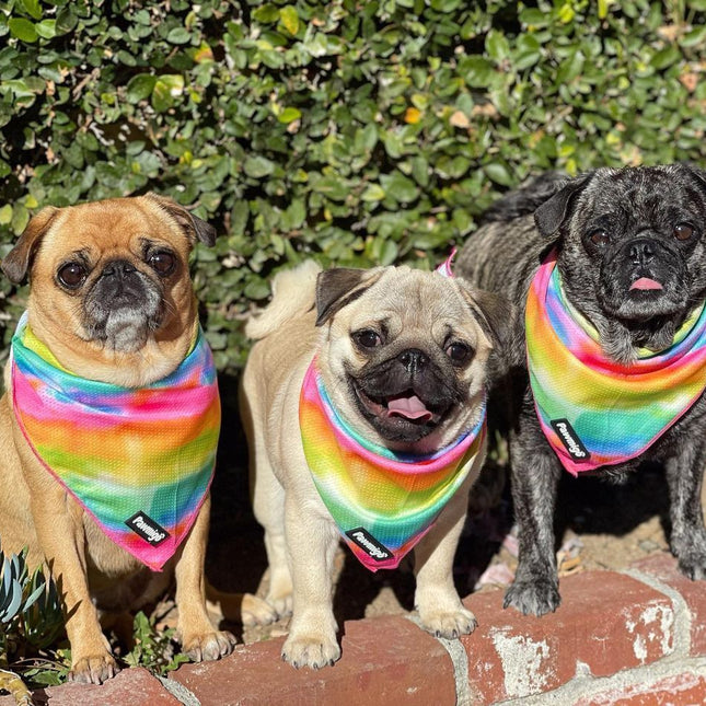 Tie-Dye For Cooling Bandana
